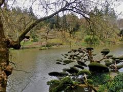 149 PARC ORIENTAL DE MAULEVIER MAINE ET LOIRE 2016 N1_000044